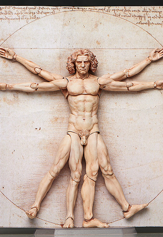 Фигурка figma Vitruvian Man